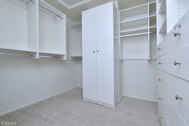 spacious closet with light carpet