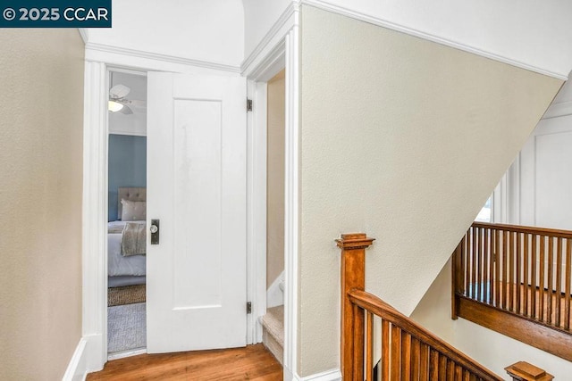 hall featuring light hardwood / wood-style floors