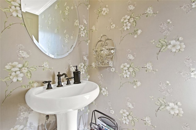 bathroom with sink and crown molding