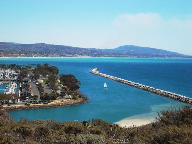 birds eye view of property with a water and mountain view