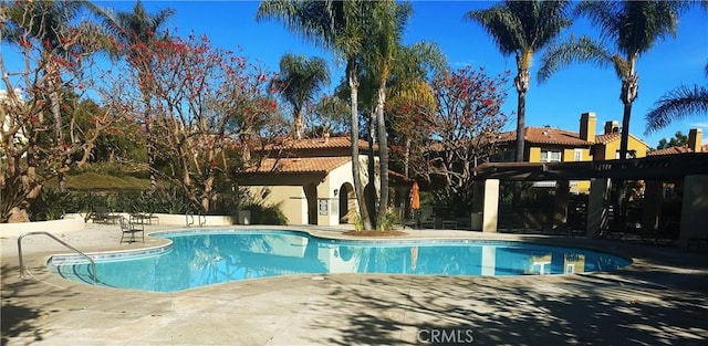 view of pool featuring a patio