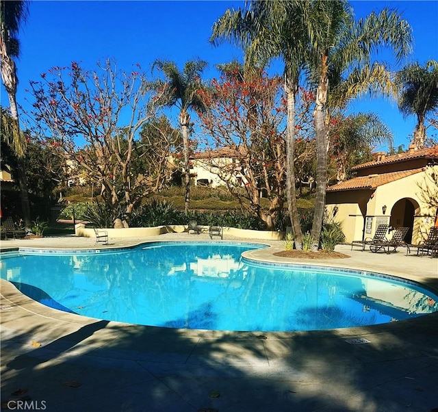 view of swimming pool with a patio