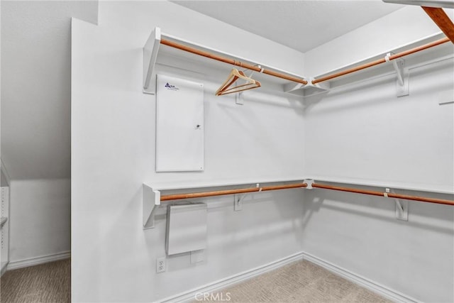 walk in closet featuring carpet flooring