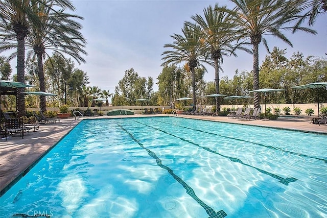 view of pool with a patio area