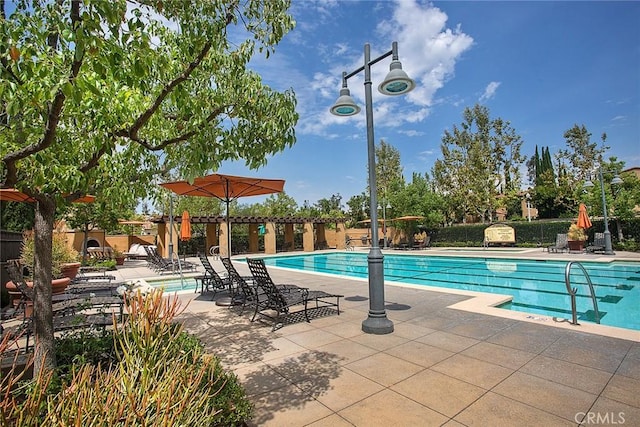 view of pool featuring a patio