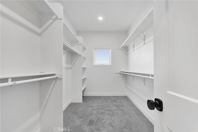 spacious closet featuring light colored carpet