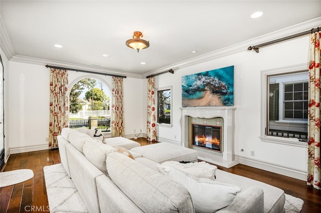 living room with a high end fireplace, crown molding, and dark hardwood / wood-style floors