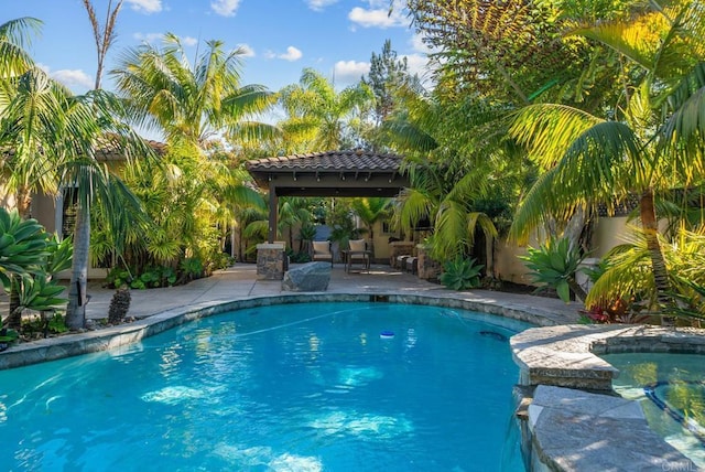 view of swimming pool