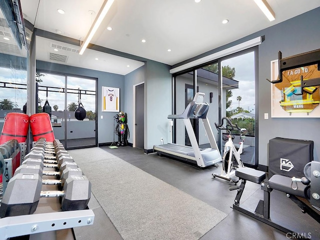 exercise room featuring a wealth of natural light