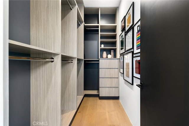 walk in closet with light hardwood / wood-style flooring