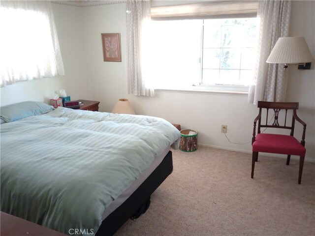 bedroom with carpet floors and multiple windows