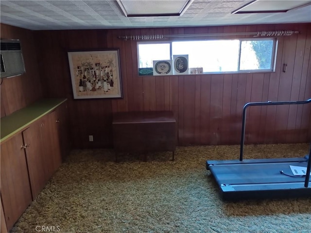 workout area featuring carpet floors, a healthy amount of sunlight, and wood walls