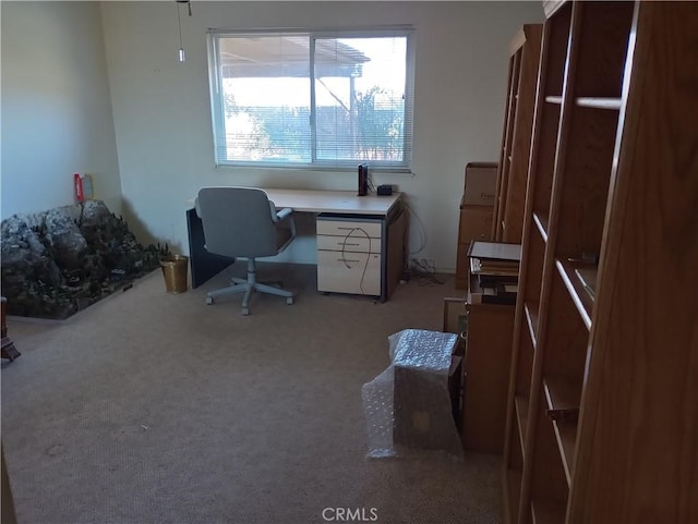 office with carpet floors