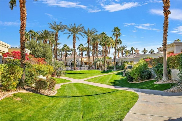 view of community with a lawn