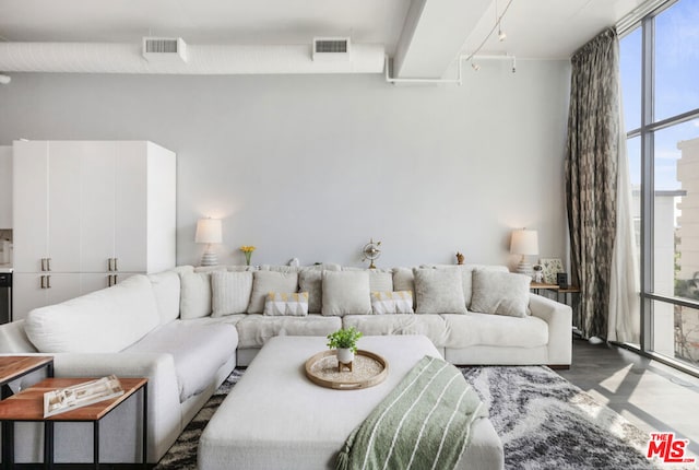 living room with a healthy amount of sunlight and dark hardwood / wood-style flooring