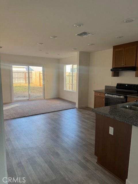 kitchen with plenty of natural light, sink, black electric range oven, and hardwood / wood-style floors