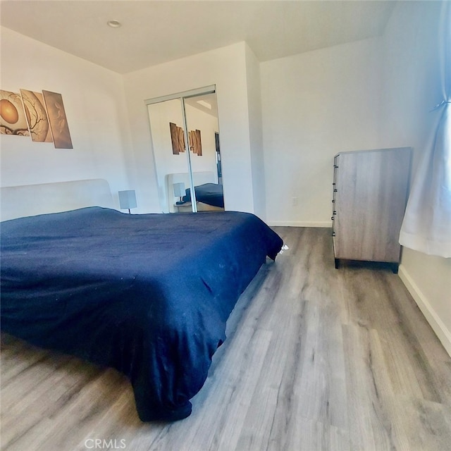 bedroom with a closet and wood-type flooring