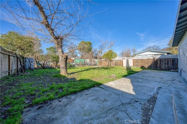 view of yard featuring a patio