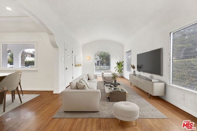 living room with vaulted ceiling and light hardwood / wood-style flooring