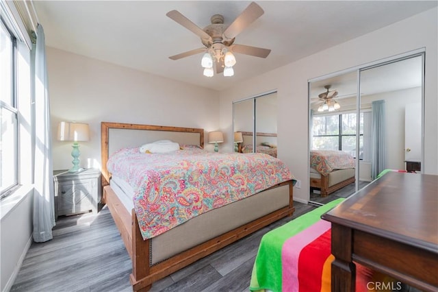 bedroom with dark wood-type flooring, ceiling fan, and two closets