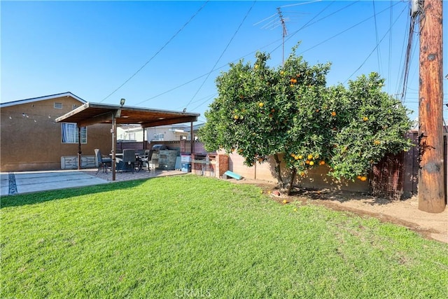 view of yard featuring a patio area