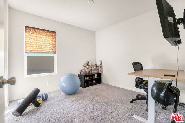 office with light colored carpet