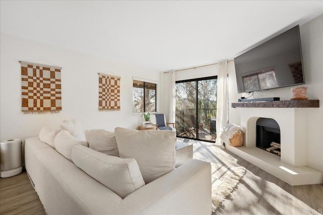 living room with a fireplace with raised hearth and wood finished floors