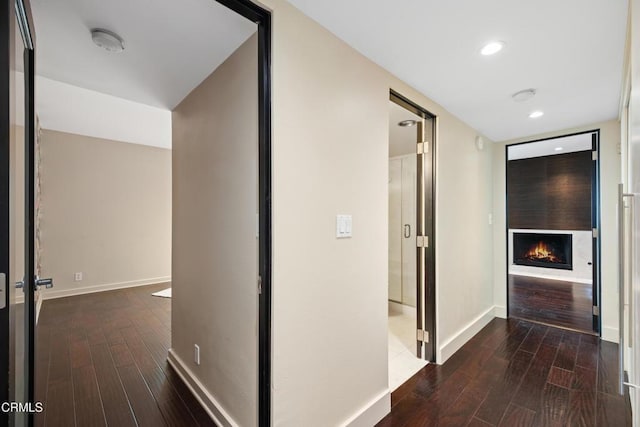 corridor featuring dark wood-type flooring