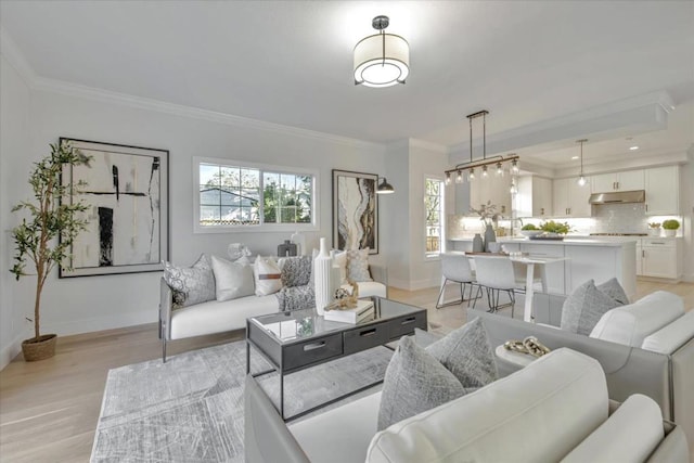 living room with ornamental molding and light hardwood / wood-style floors