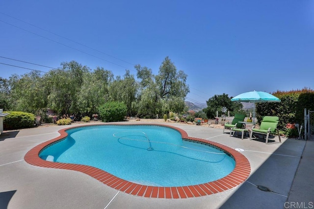 view of pool featuring a patio