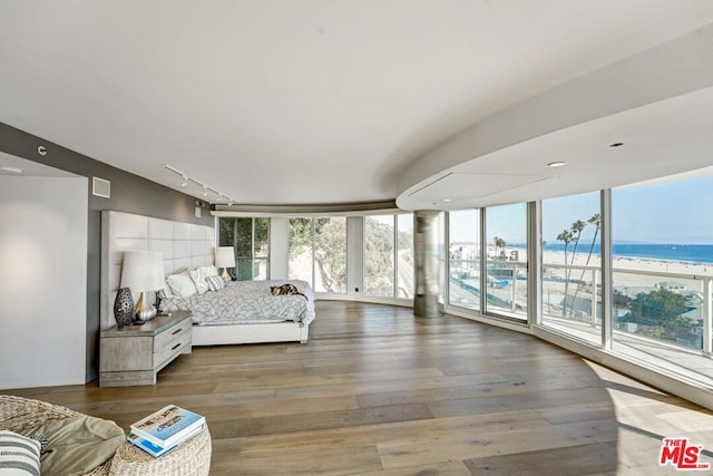 bedroom featuring wood-type flooring, a water view, a wall of windows, a beach view, and rail lighting