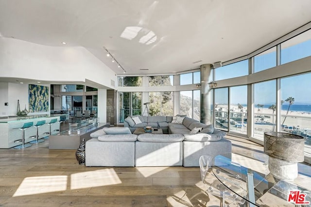 living room featuring rail lighting, a water view, and light wood-type flooring