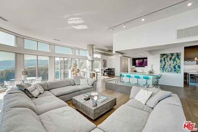 living room featuring track lighting and hardwood / wood-style flooring