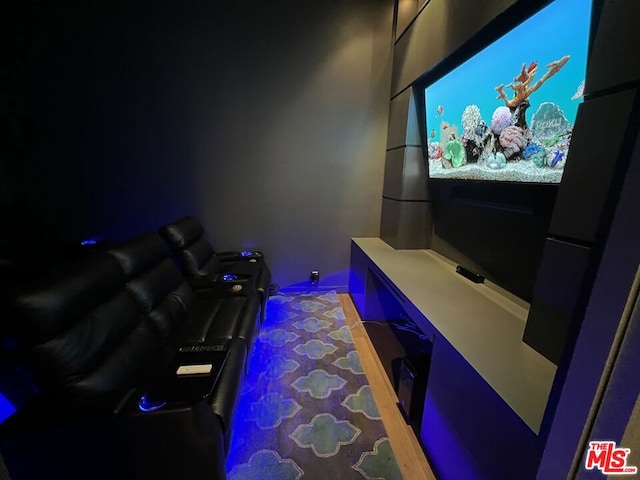 view of home theater room