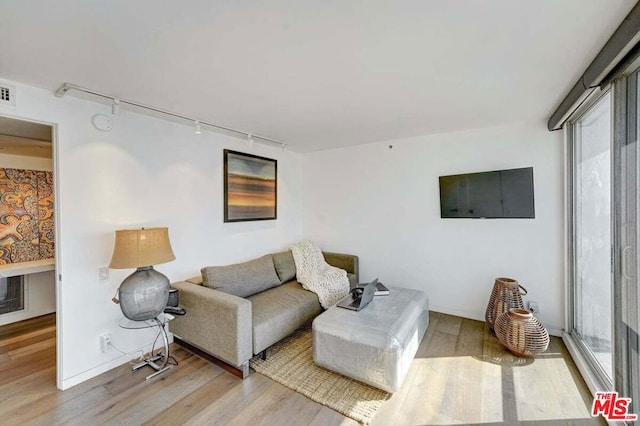 living room featuring light wood-type flooring, a wealth of natural light, and track lighting