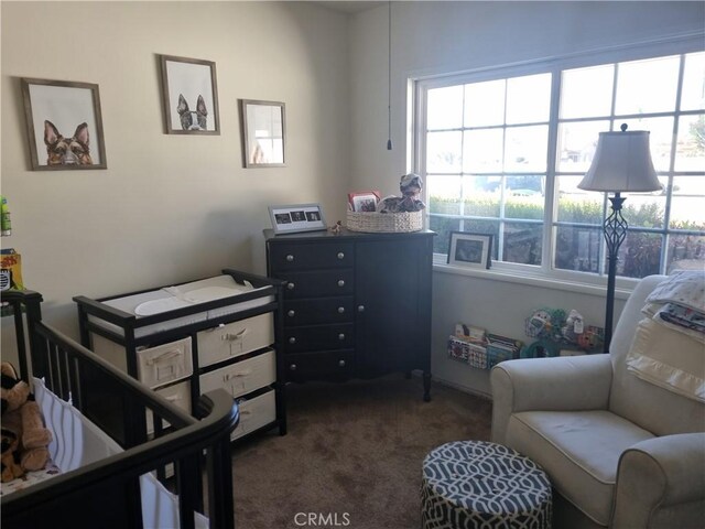 bedroom with dark carpet