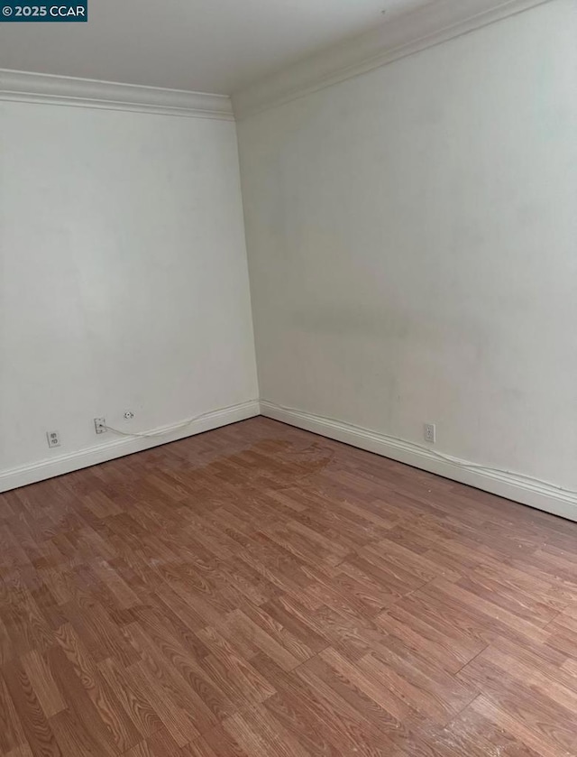 spare room featuring ornamental molding and light hardwood / wood-style floors