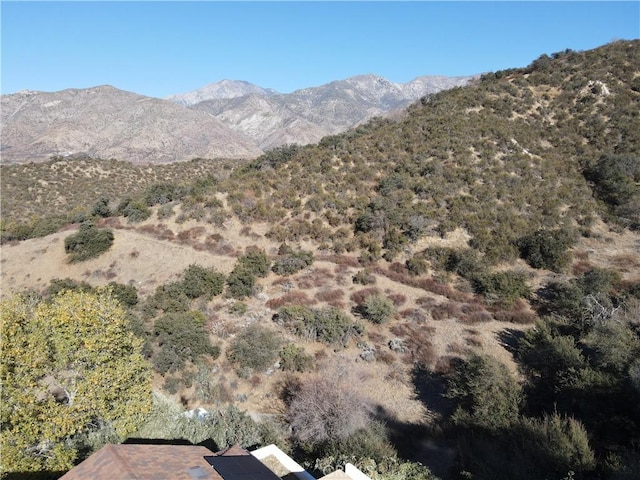 36495 Rodgers Ln, Yucaipa, CA 92399 - photo 66