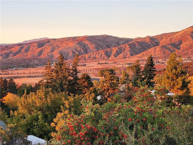 36495 Rodgers Ln, Yucaipa, CA 92399 - photo 69