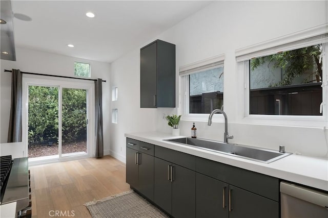 kitchen featuring dishwasher, light hardwood / wood-style flooring, and sink