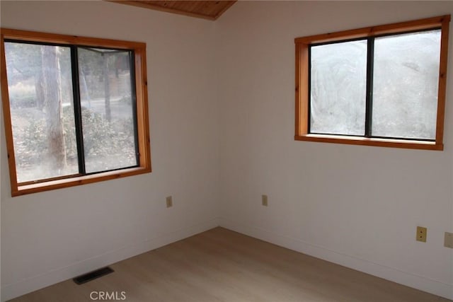 spare room featuring light hardwood / wood-style flooring and a healthy amount of sunlight