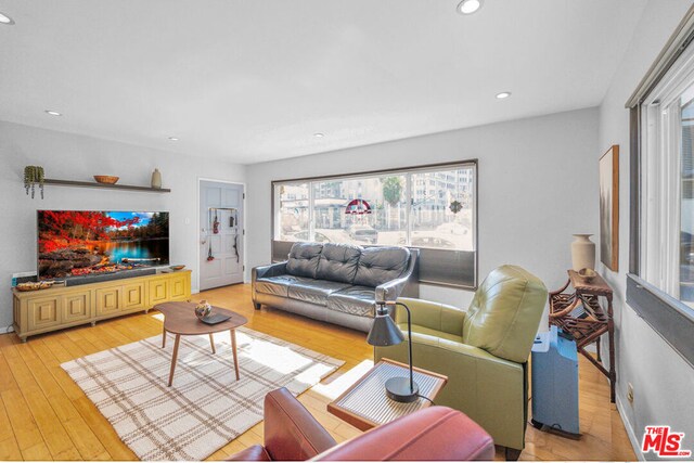 living room featuring light hardwood / wood-style floors