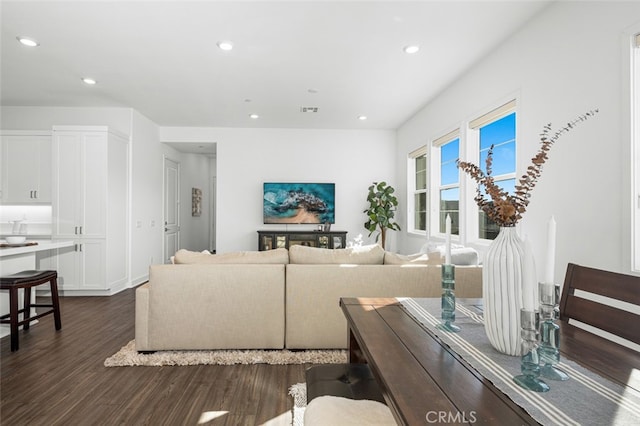 living room with dark hardwood / wood-style flooring