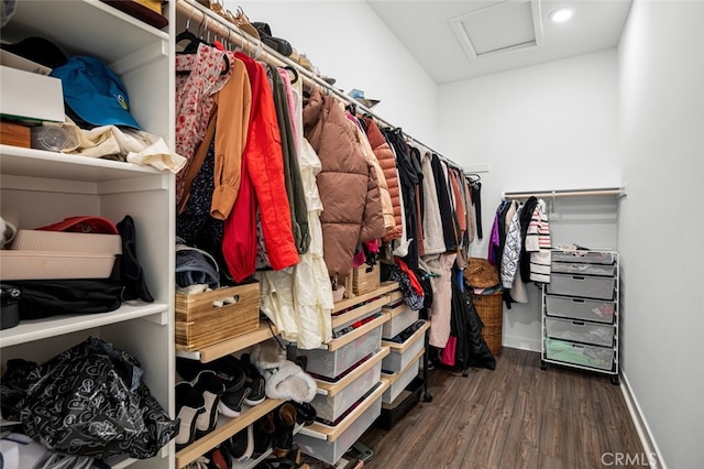 spacious closet featuring dark wood-type flooring