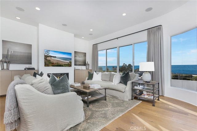 living room featuring light hardwood / wood-style flooring