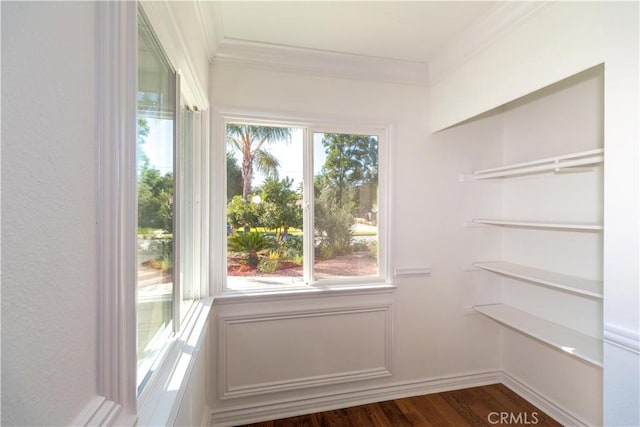 interior space with dark hardwood / wood-style flooring and crown molding