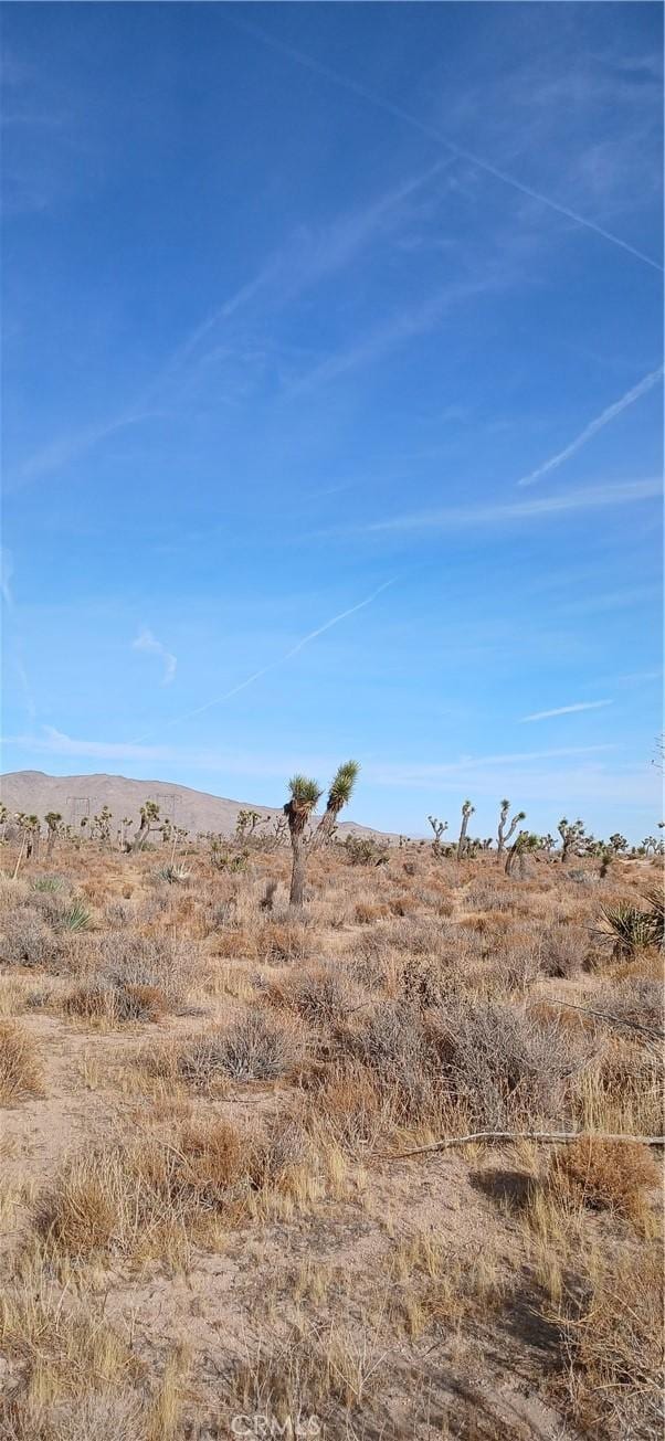 0 Bowen Ranch Rd, Apple Valley CA, 92308 land for sale