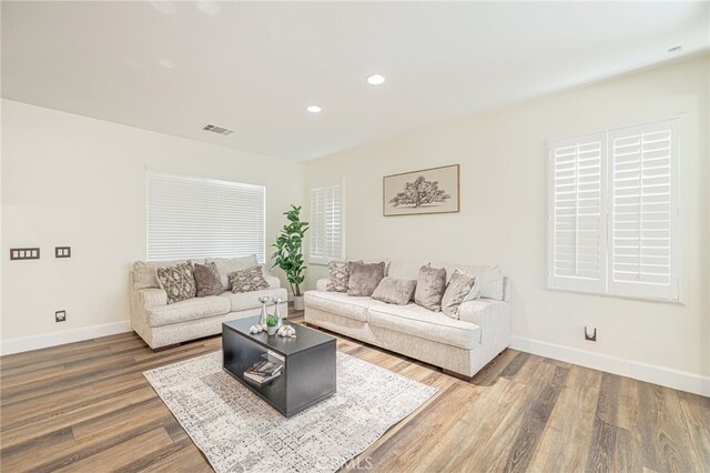 living room with wood-type flooring