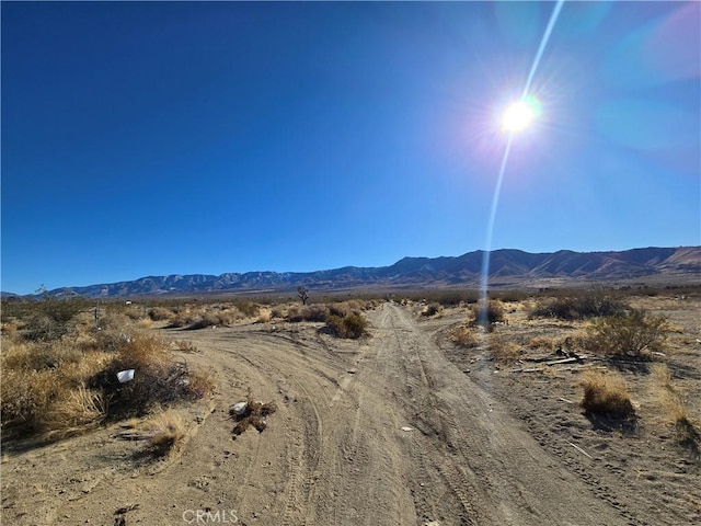 108900SF Miller Ranch Rd, Lucerne Valley, CA 92356 - photo 9