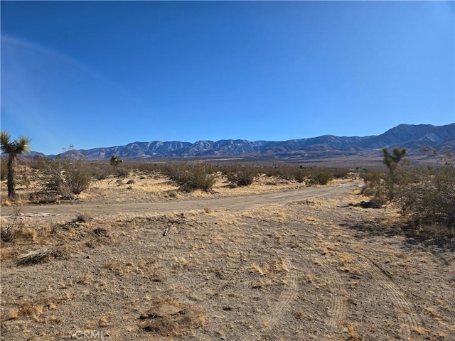 108900SF Miller Ranch Rd, Lucerne Valley, CA 92356 - photo 4